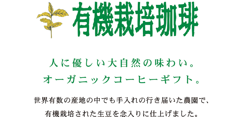 有機栽培珈琲 レギュラーコーヒーセット 粉 Mog 35rc 三本珈琲株式会社 コーヒーを どこまでも